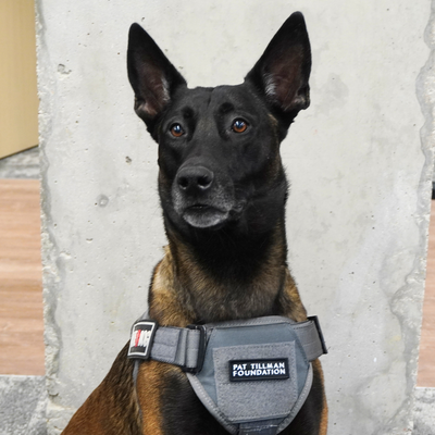 Pat Tillman Foundation Patch